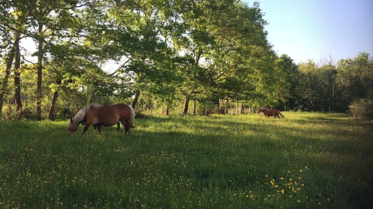 Photo of Outdoor in Bard-le-Regulier