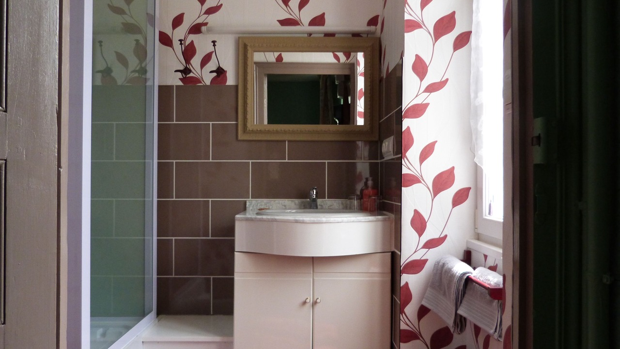 Photo of Bathroom in Druyes-les-Belles-Fontaines