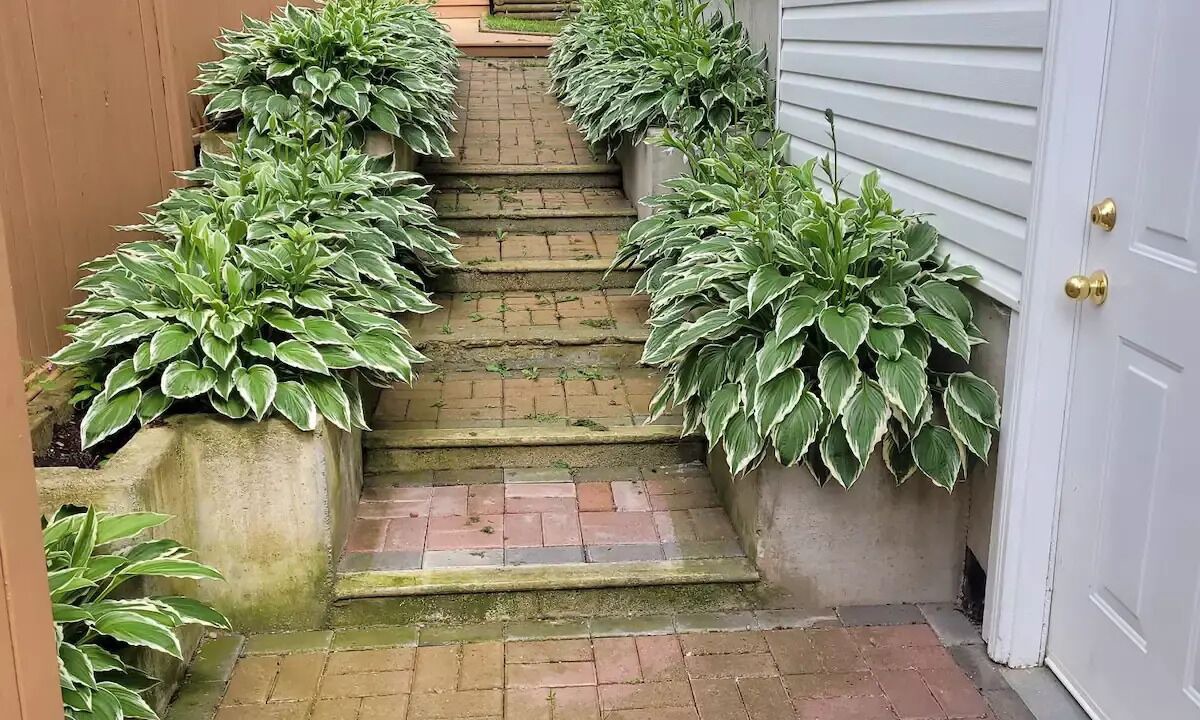 Photo of Outdoor in Abbotsford