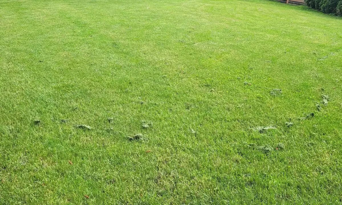 Photo of Outdoor in Abbotsford