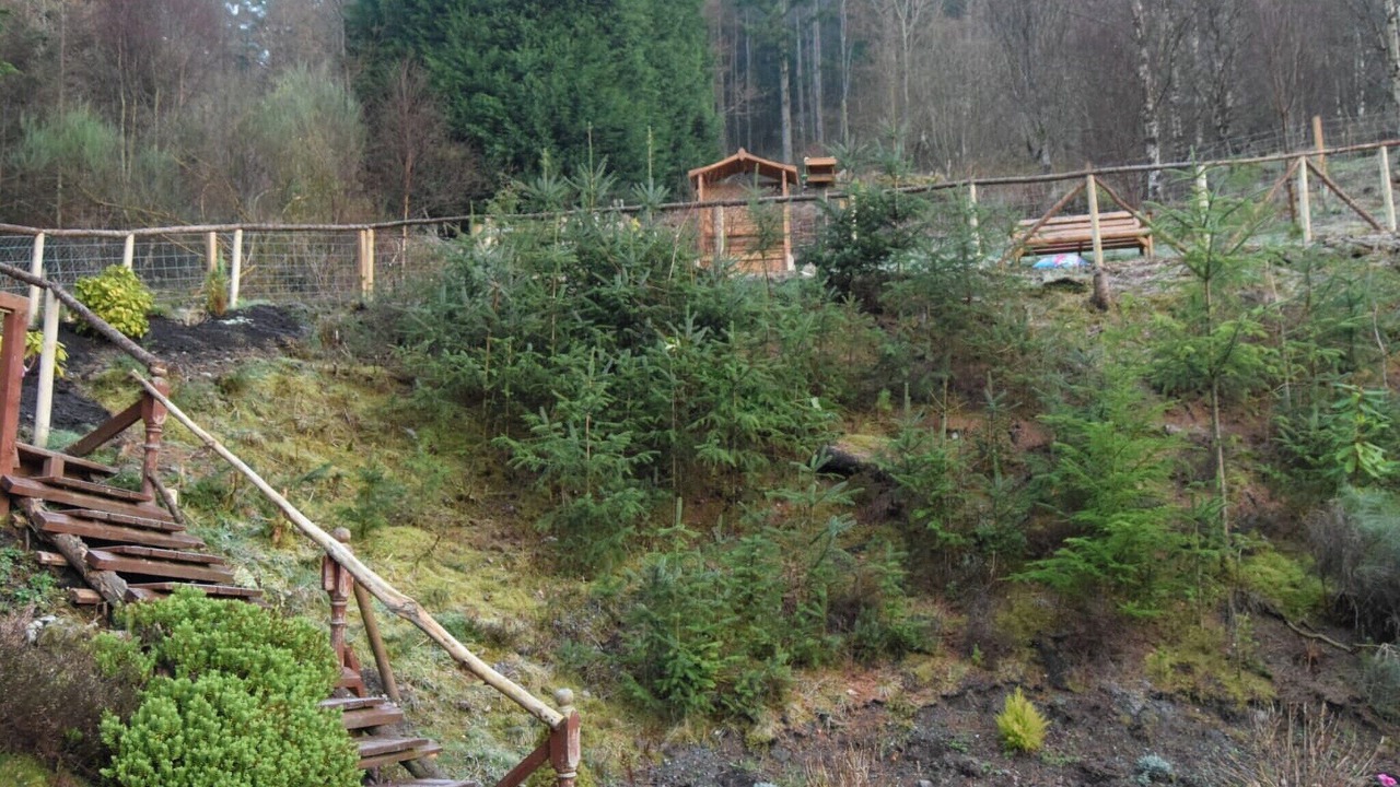 Photo of Outdoor in Callander