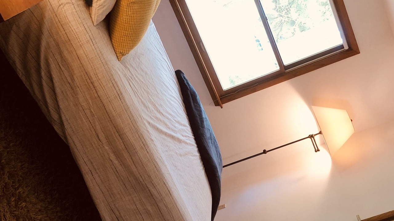 Photo of Bedroom in Black Wolf