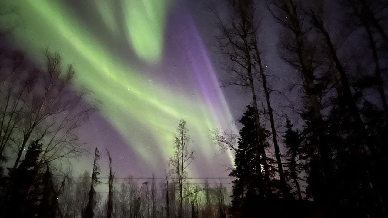 Photo of Outdoor in Wasilla