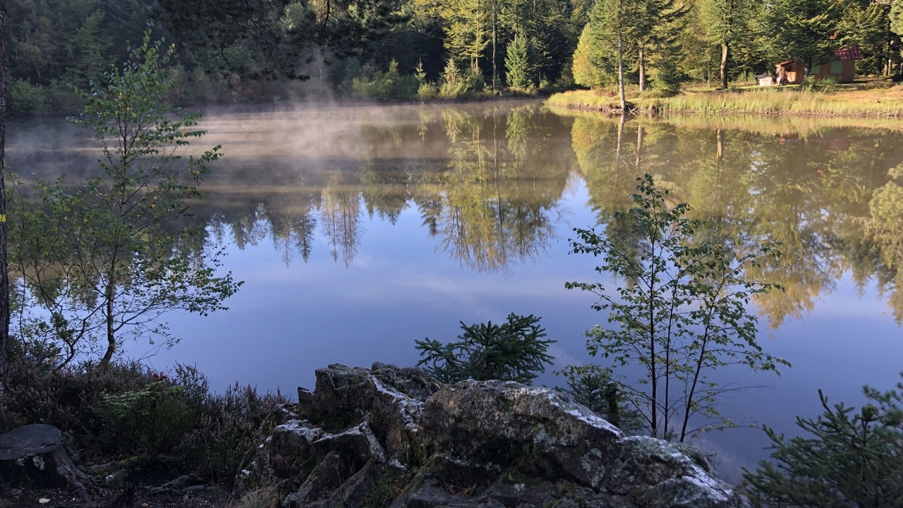 Photo of Outdoor in Ramonchamp