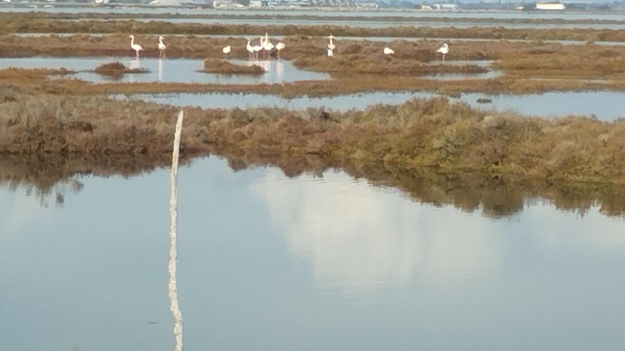 Photo of Outdoor in Frontignan