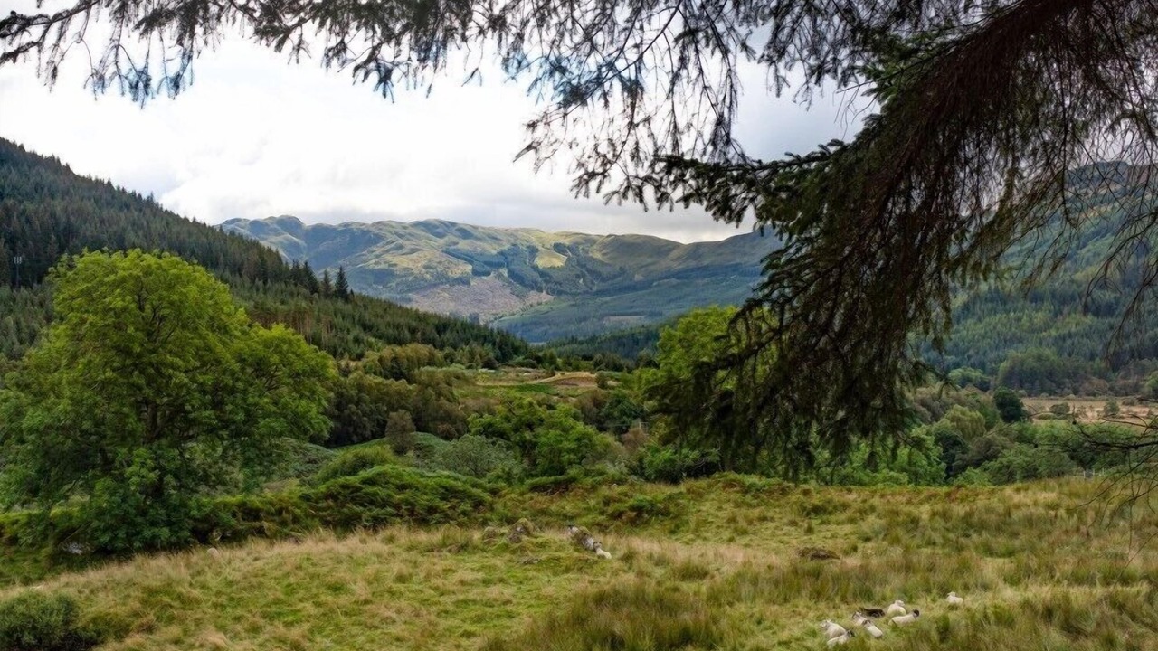 Photo of Outdoor in Lochearnhead