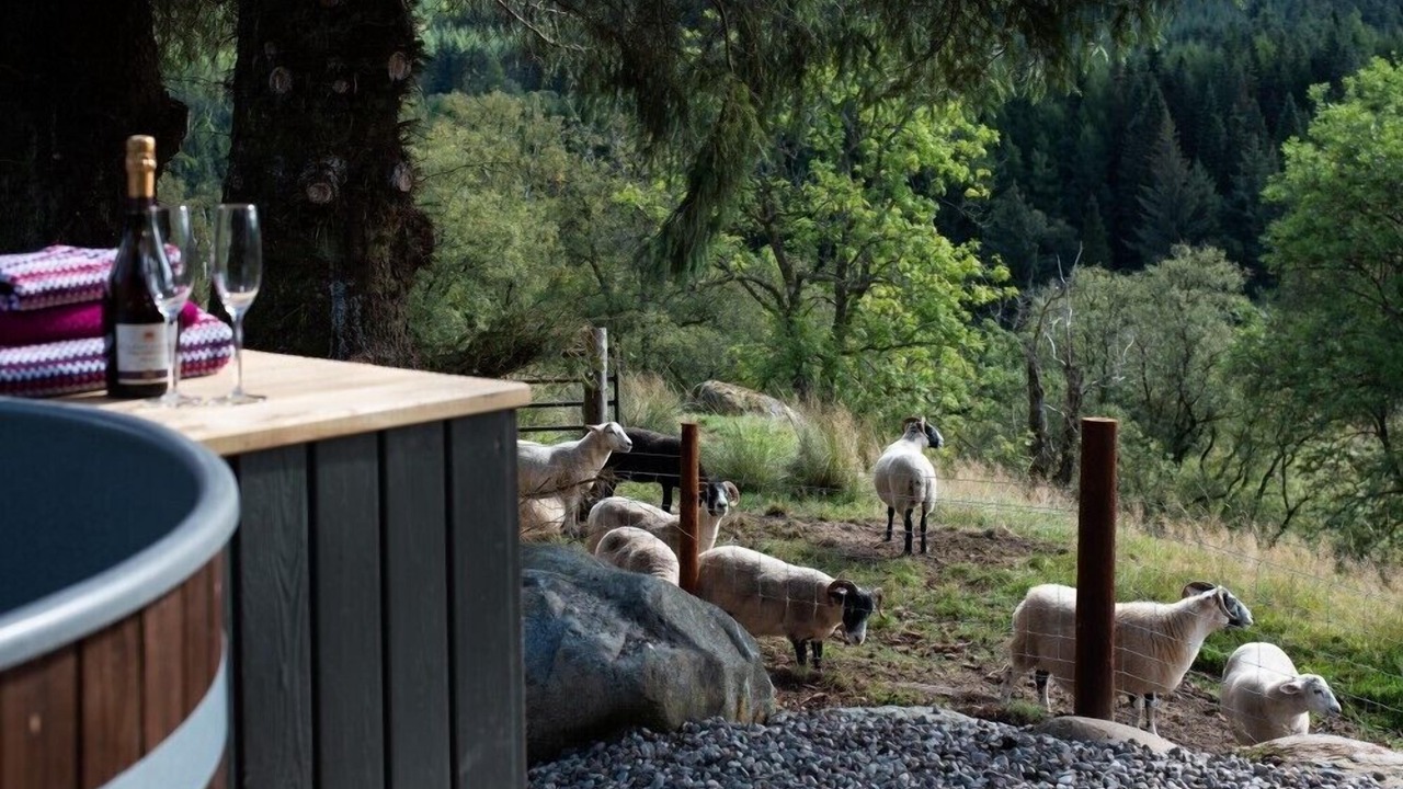 Photo of Outdoor in Lochearnhead