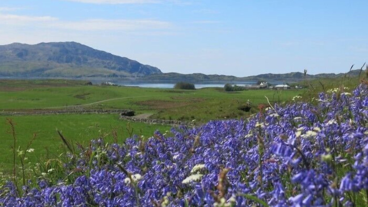 Photo of Outdoor in Isle of Luing