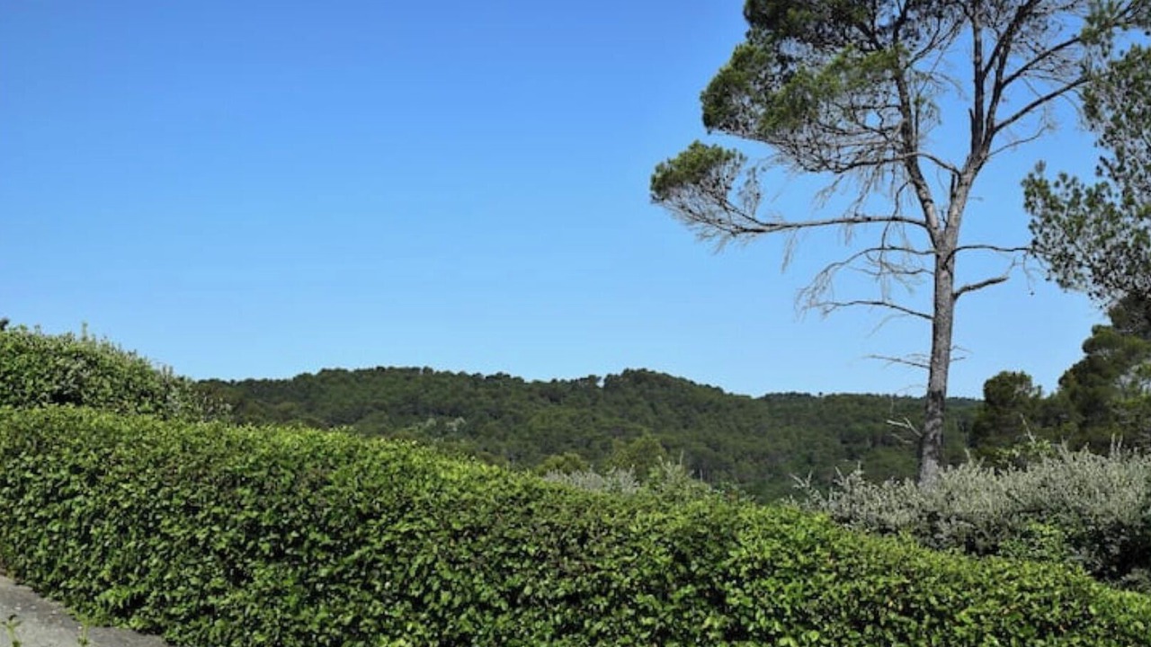 Photo of Others in Barjols