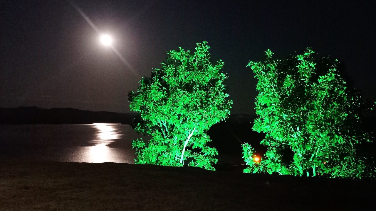 Photo of Outdoor in Alexania