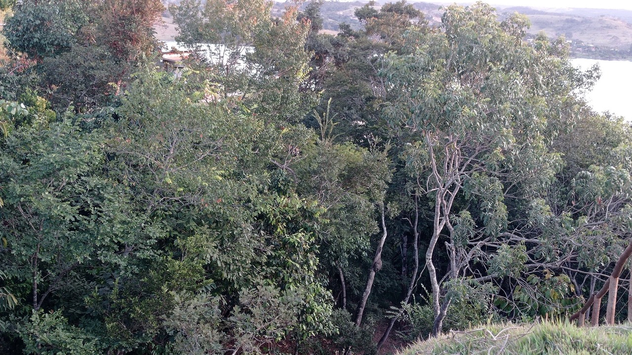 Photo of Outdoor in Alexania