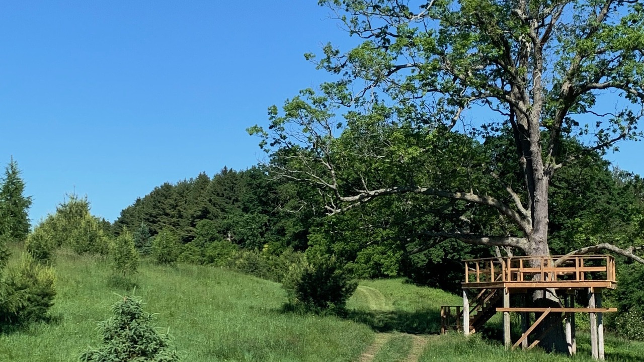 Photo of Outdoor in County of Brant