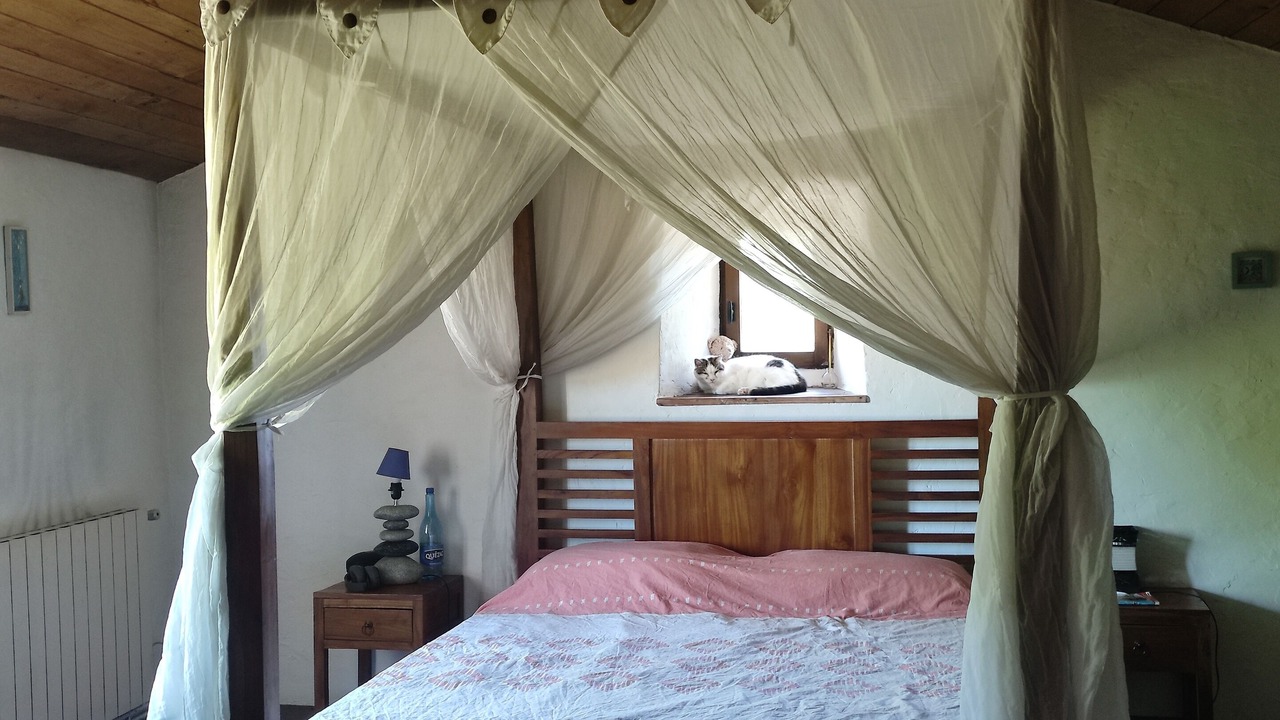 Photo of Bedroom in Navas