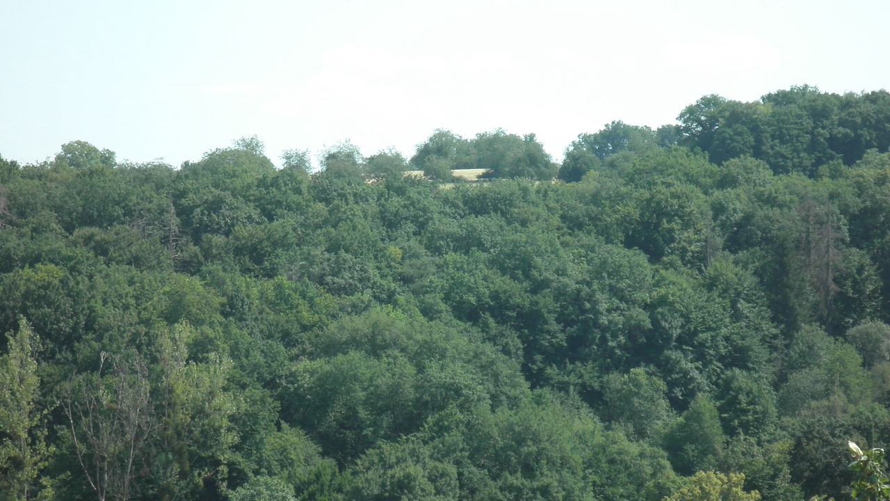 Photo of Others in Bondeval