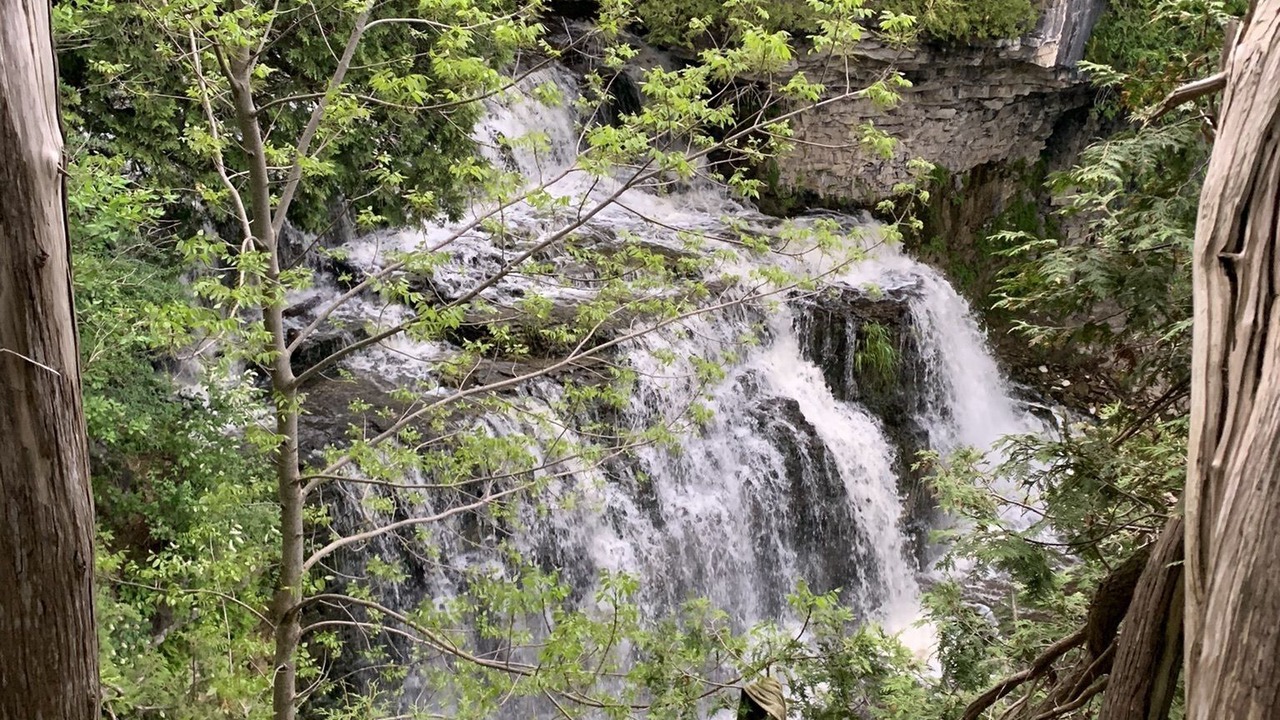 Photo of Outdoor in Elizabethtown-Kitley
