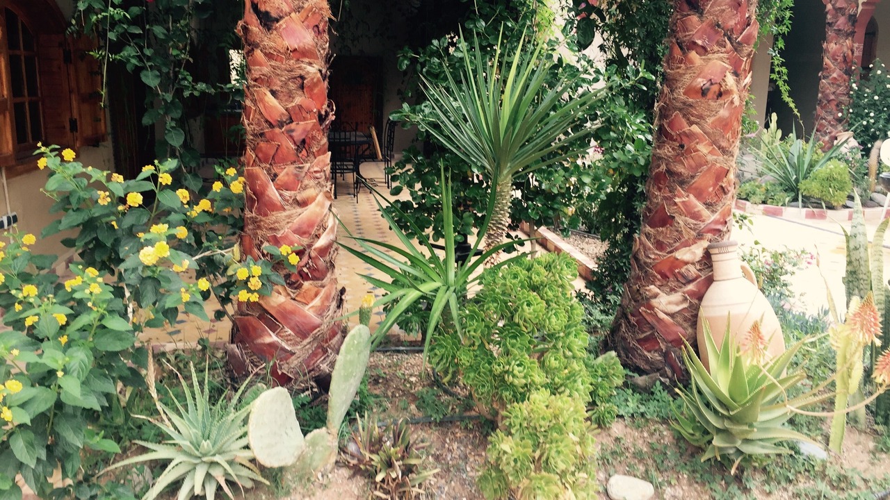 Photo of Outdoor in Imider