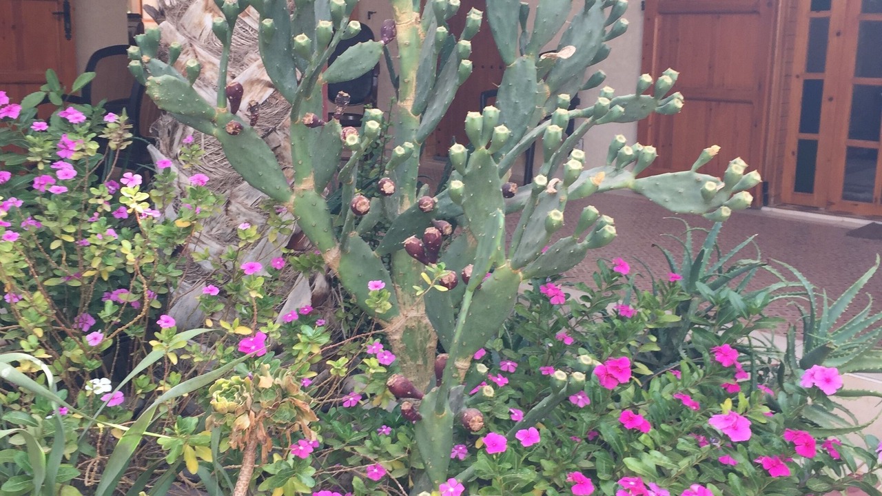 Photo of Outdoor in Imider