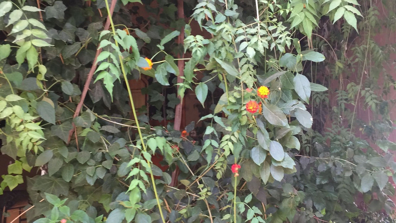 Photo of Outdoor in Imider