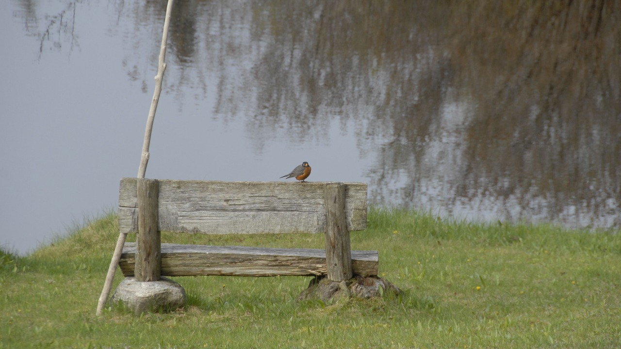 Photo of Outdoor in Spring Creek