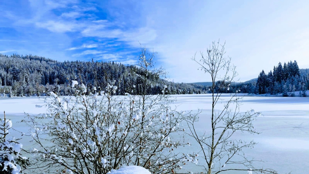 Photo of Others in Kappel