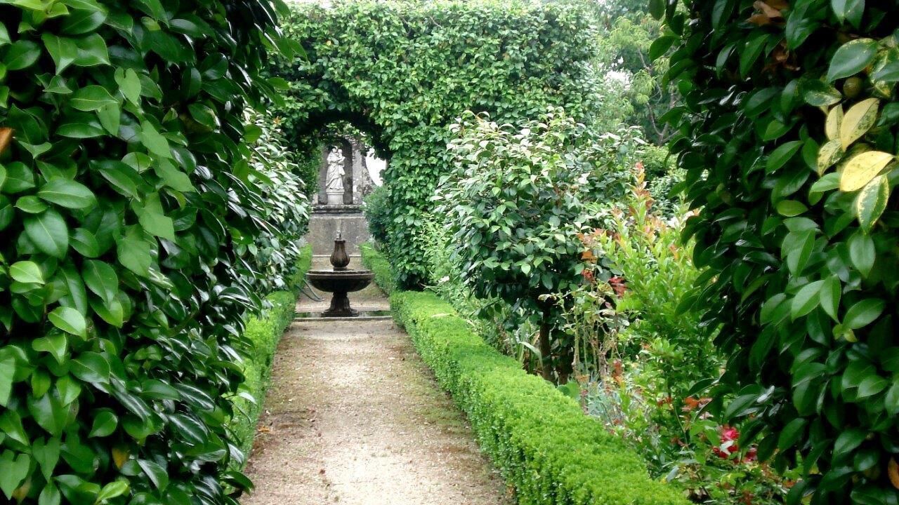 Photo of Outdoor in Fareja