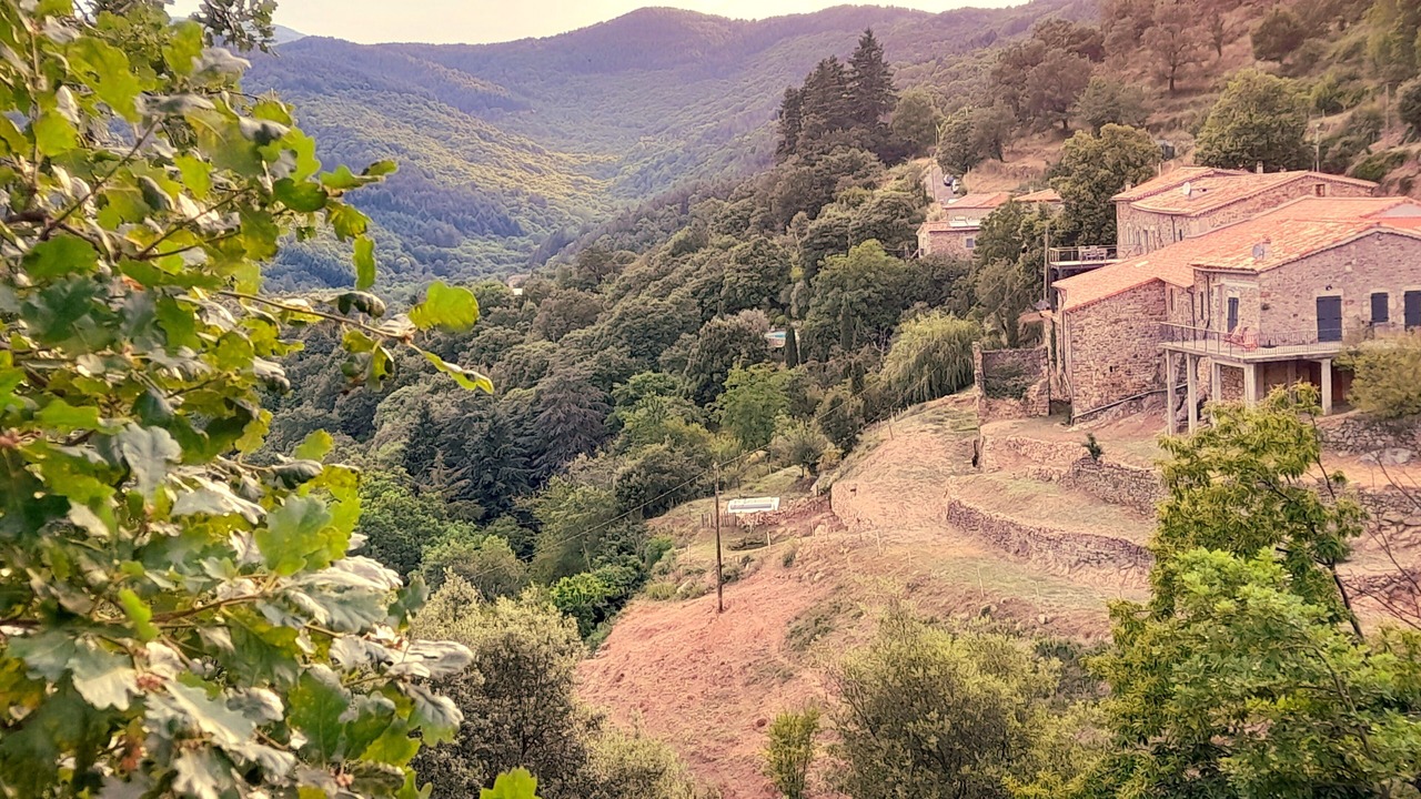 Photo of Outdoor in Lentilleres