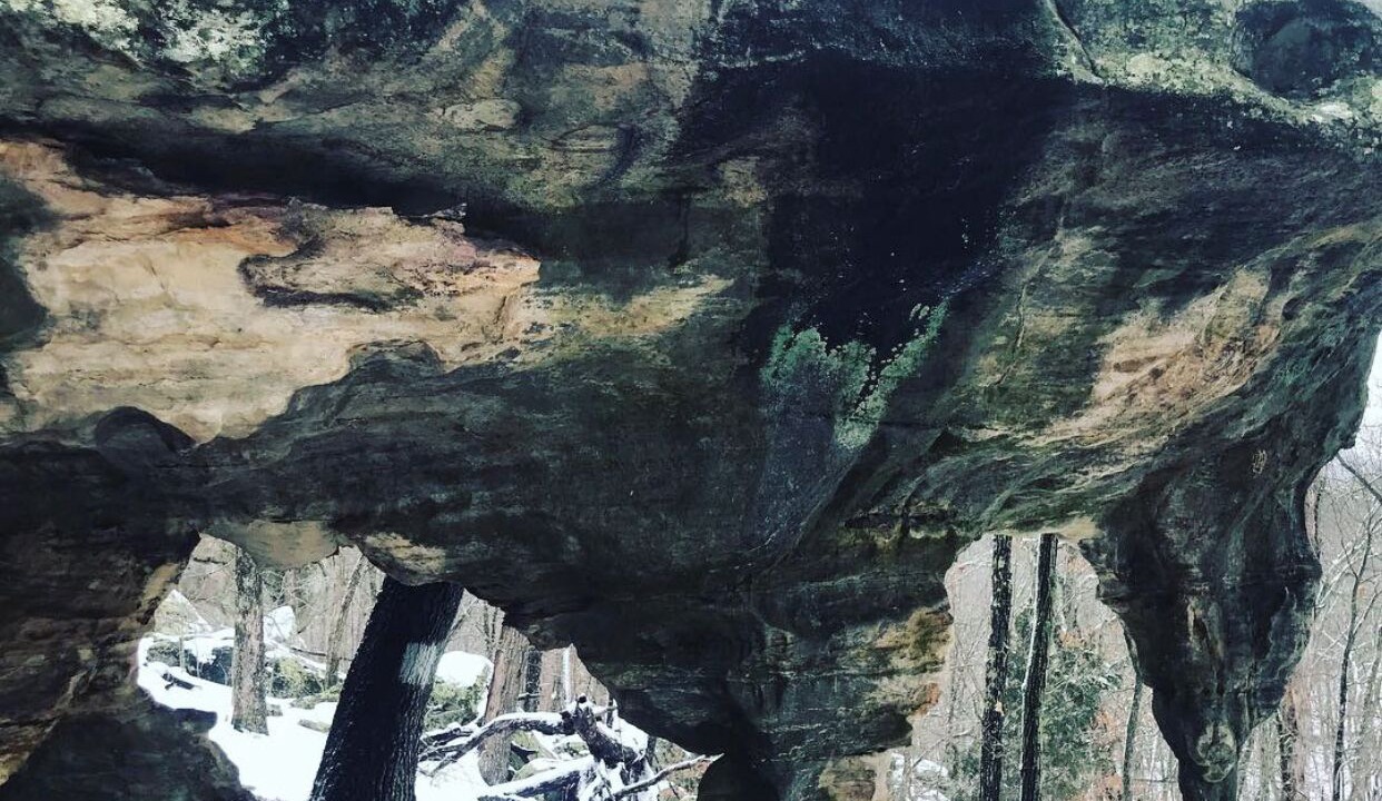 Photo of Outdoor in Farmington