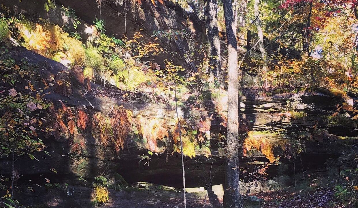 Photo of Outdoor in Farmington