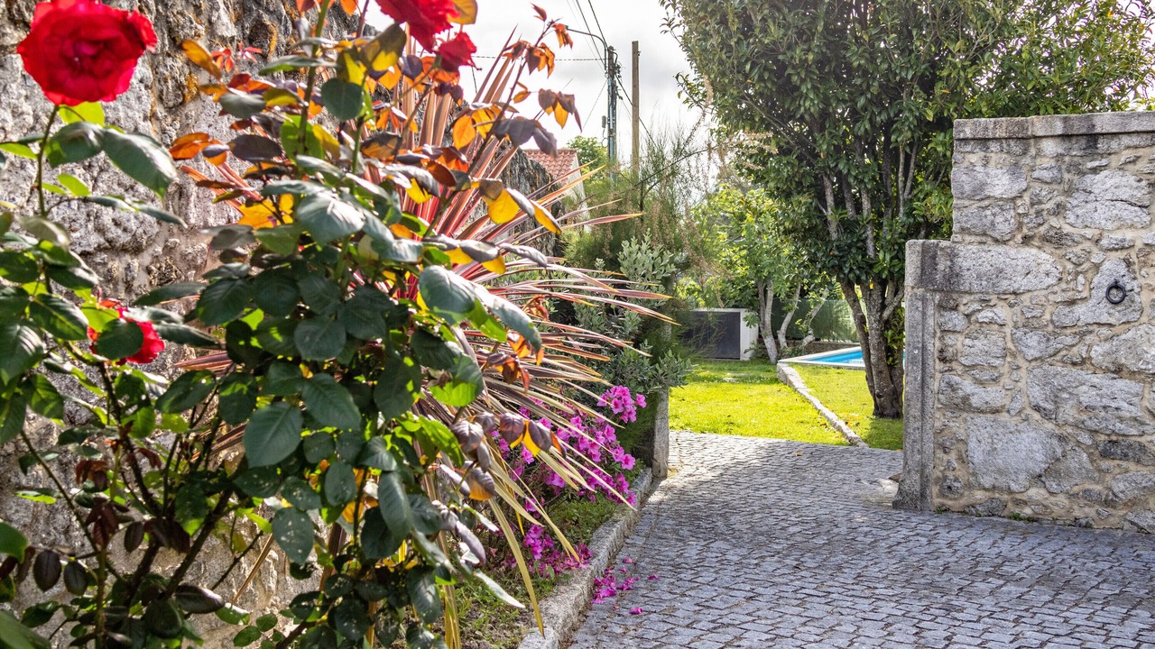Photo of Outdoor in Cardielos