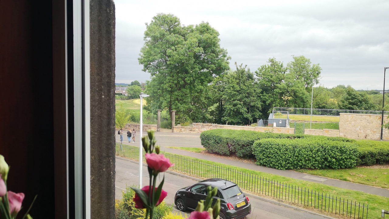 Photo of Others in Tillicoultry