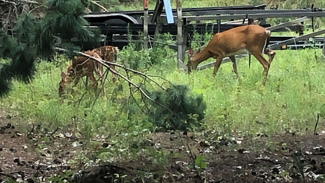 Photo of Outdoor in Friendship