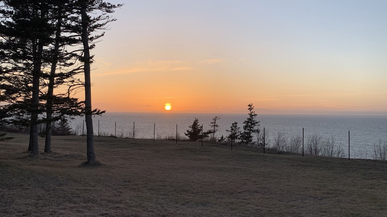 Photo of Others in Bay of Fundy & Annapolis Valley