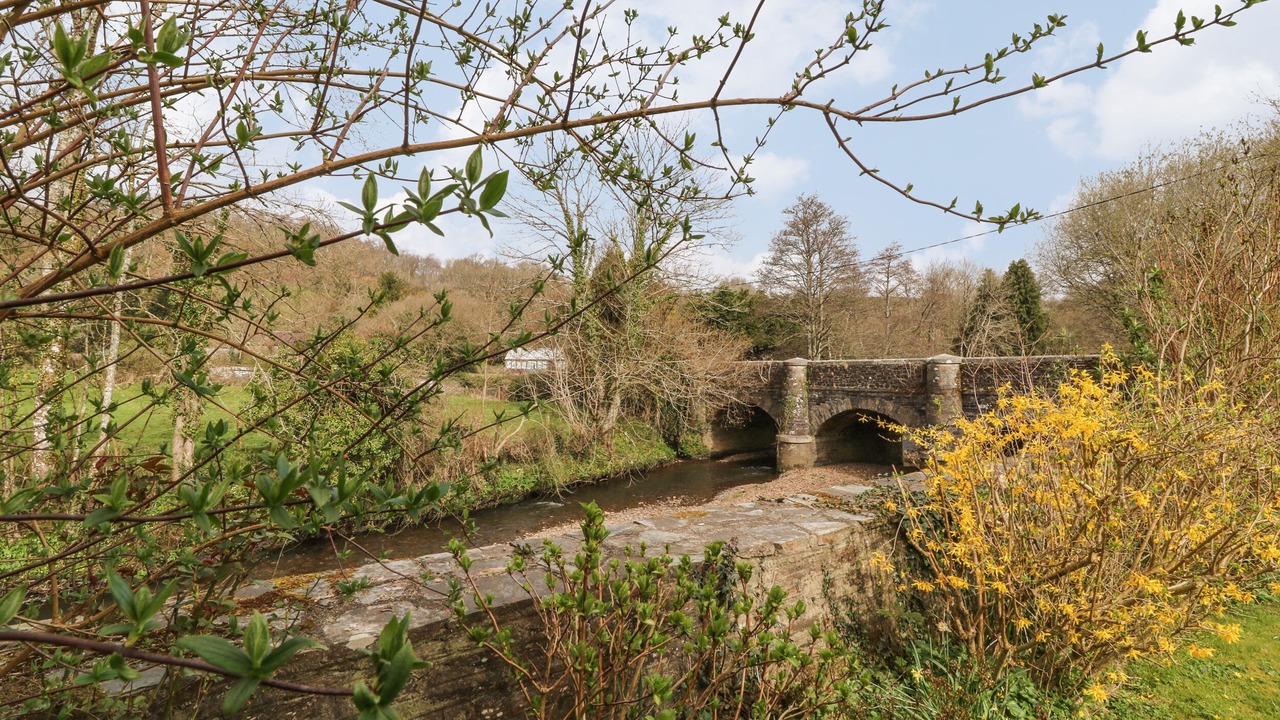 Photo of Outdoor in Lifton