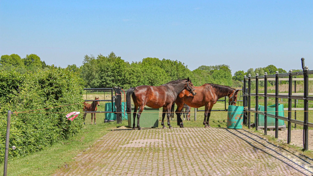 Photo of Others in Udenhout