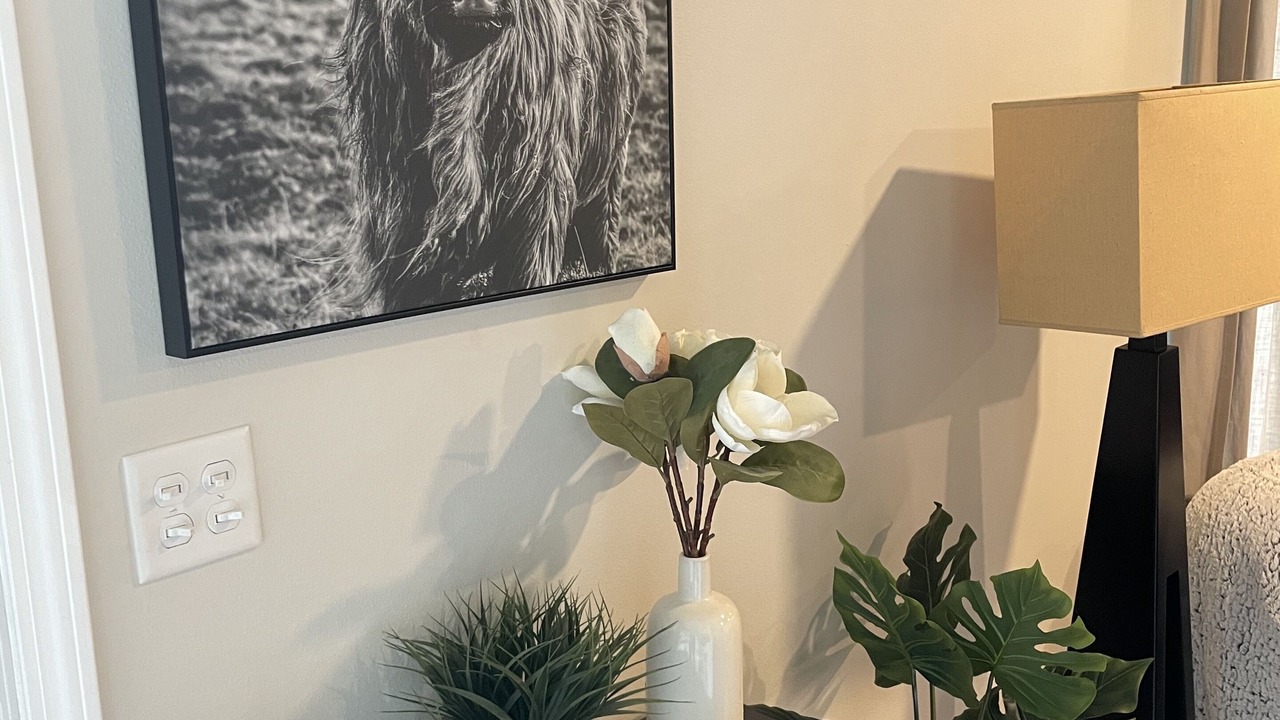 Photo of Livingroom in Sheboygan
