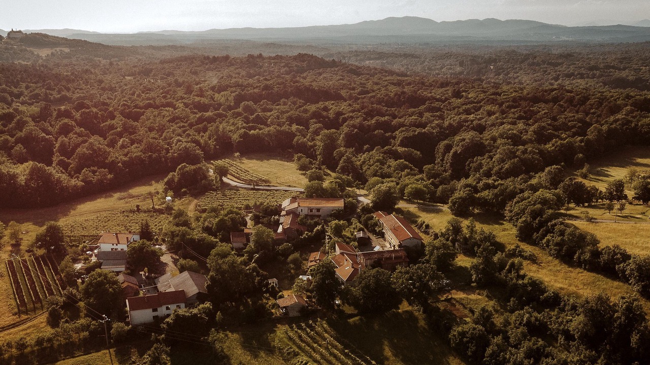 Photo of Outdoor in Sezana