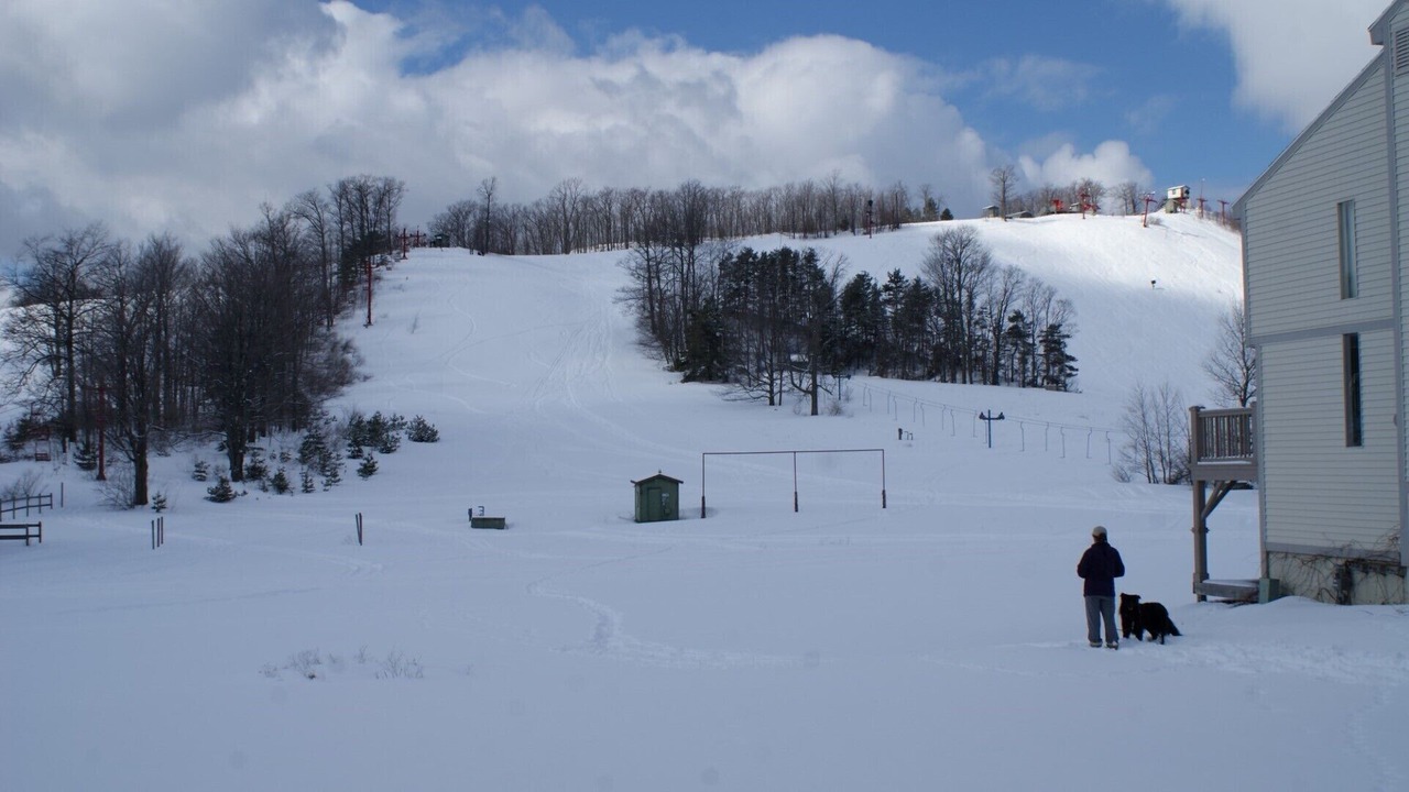 Photo of Others in Cedar