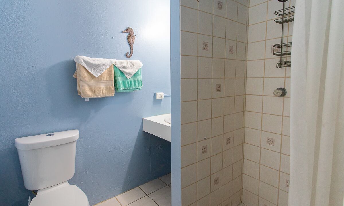 Photo of Bathroom in Cane Bay