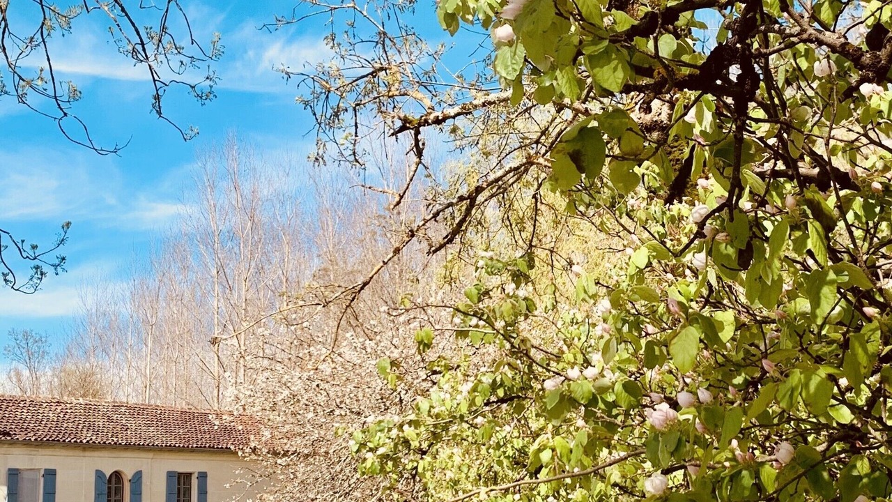Photo of Outdoor in Cherves-Richemont