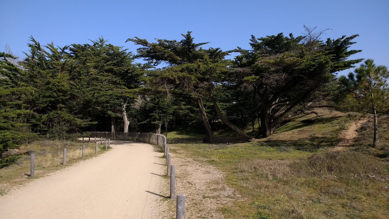 Photo of Outdoor in La Chaize-Giraud