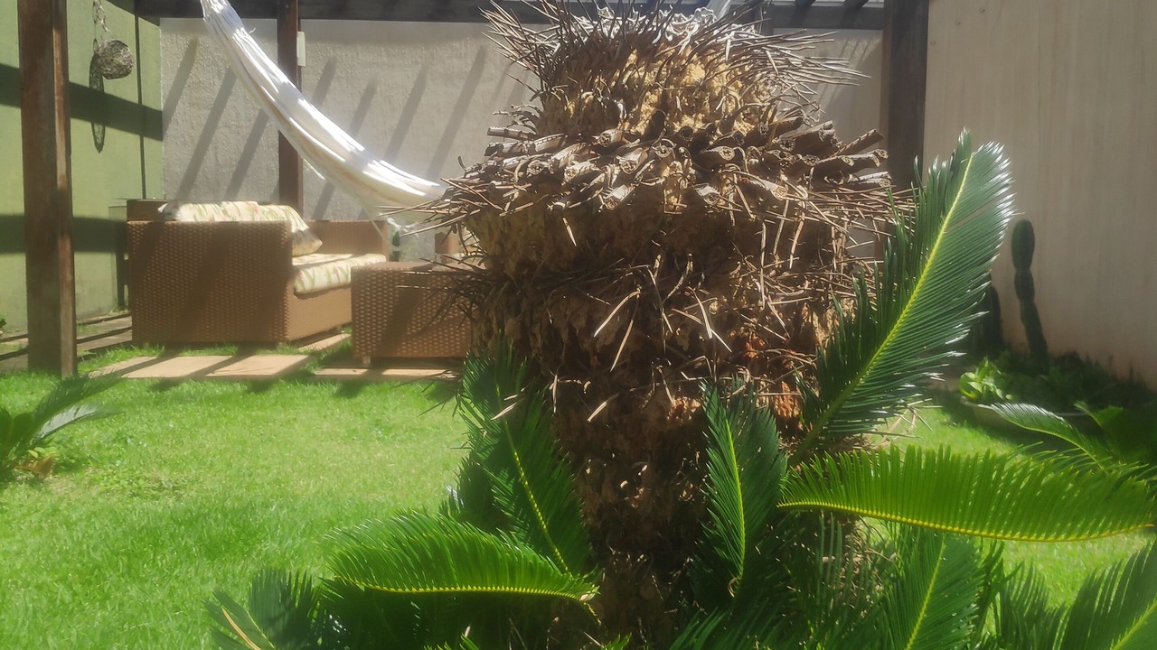 Photo of Outdoor in Chapada dos Guimaraes