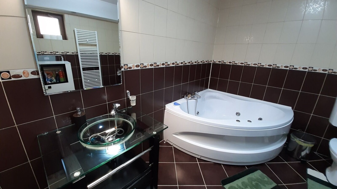 Photo of Bathroom in Poiana Tapului