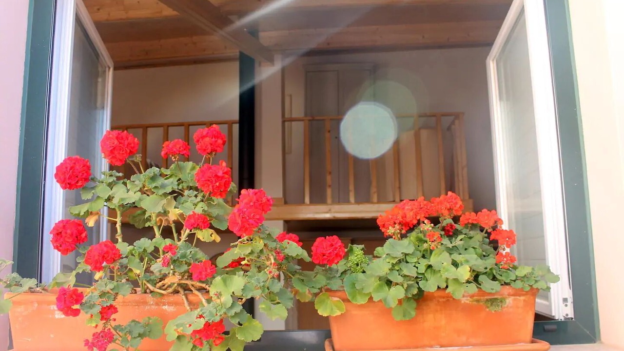 Photo of Outdoor in Bairro Alto
