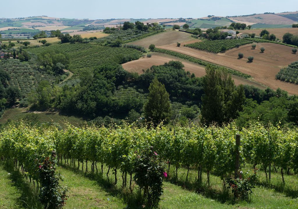 Photo of Outdoor in Monte Roberto