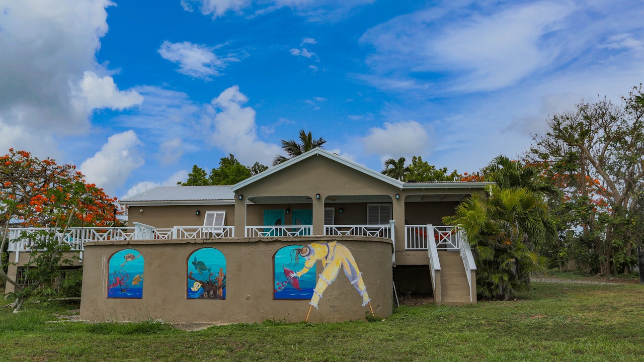 Photo of Outdoor in Frederiksted Southeast