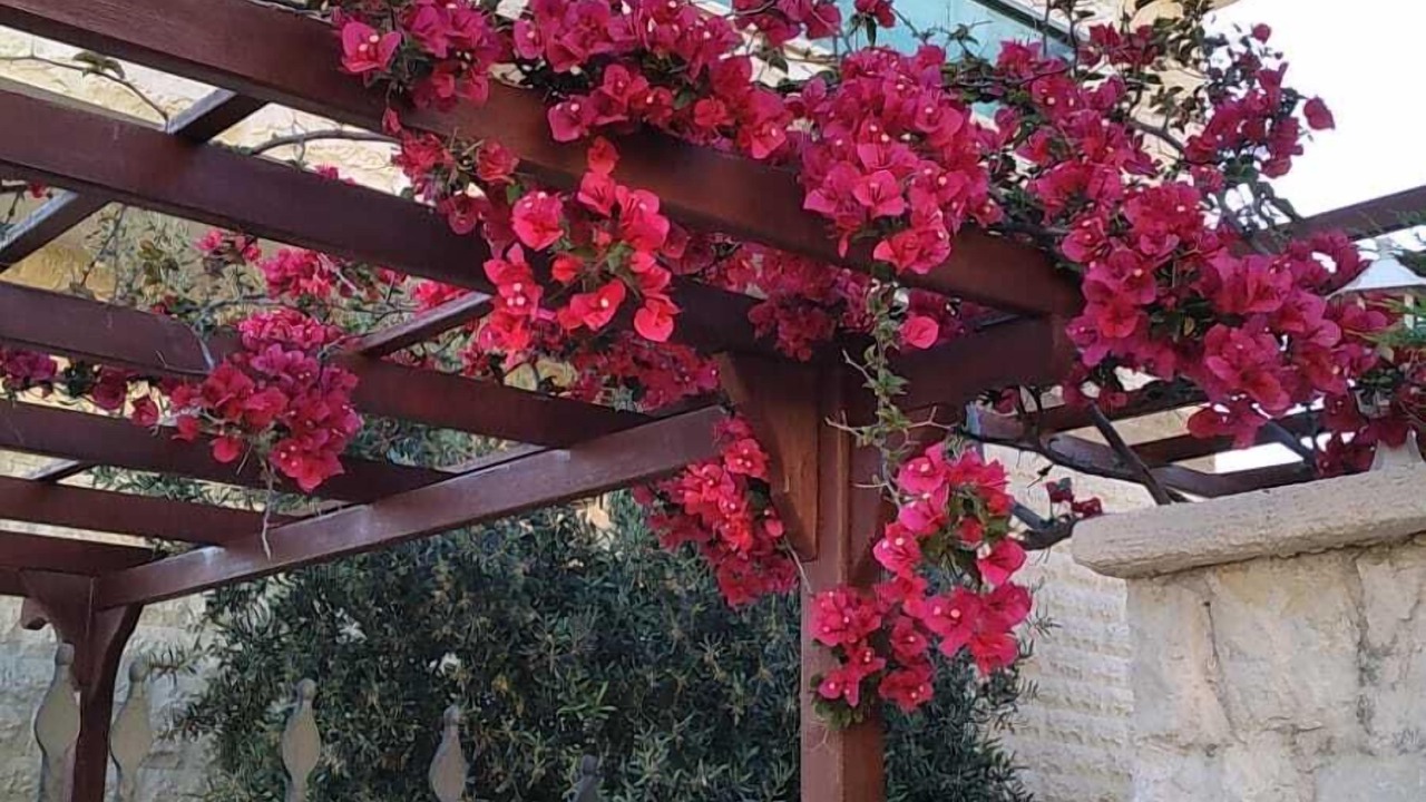 Photo of Outdoor in Demre