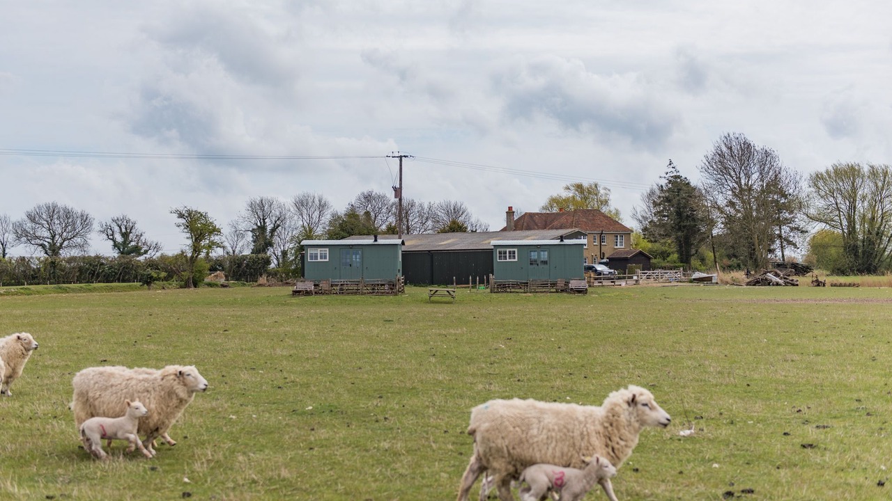Photo of Outdoor in St Mary's Bay