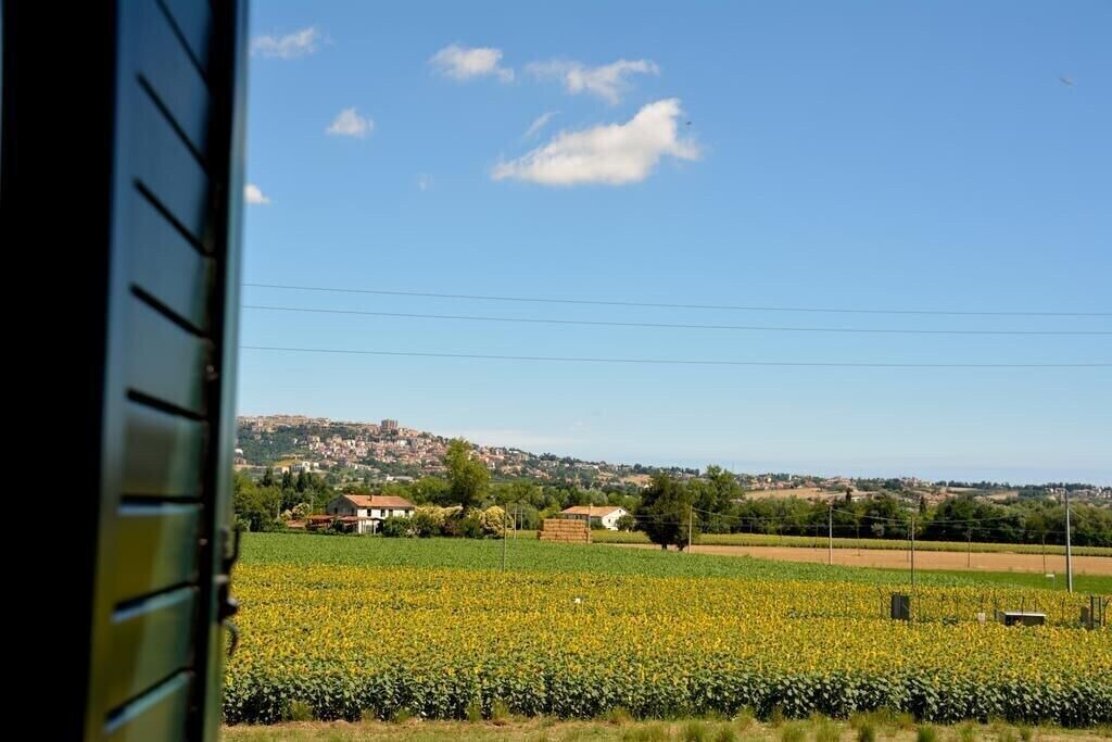 Photo of Others in Osimo