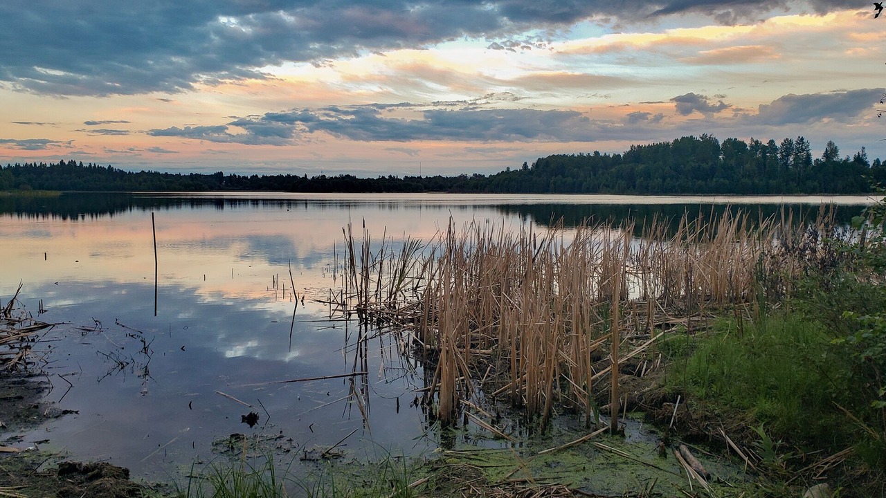 Photo of Others in Parkland County