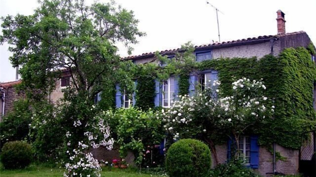 Photo of Outdoor in Peyrefitte-du-Razes